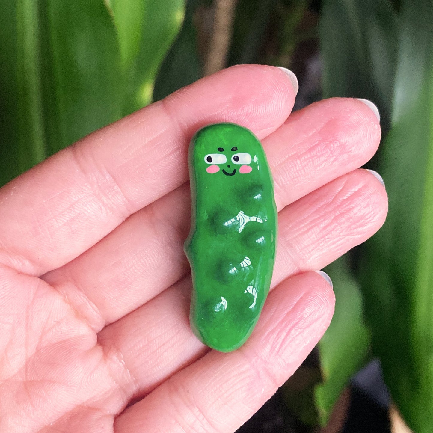 68de2f7800ddcb1087155c2d_happy-pickle_1768479864685.png