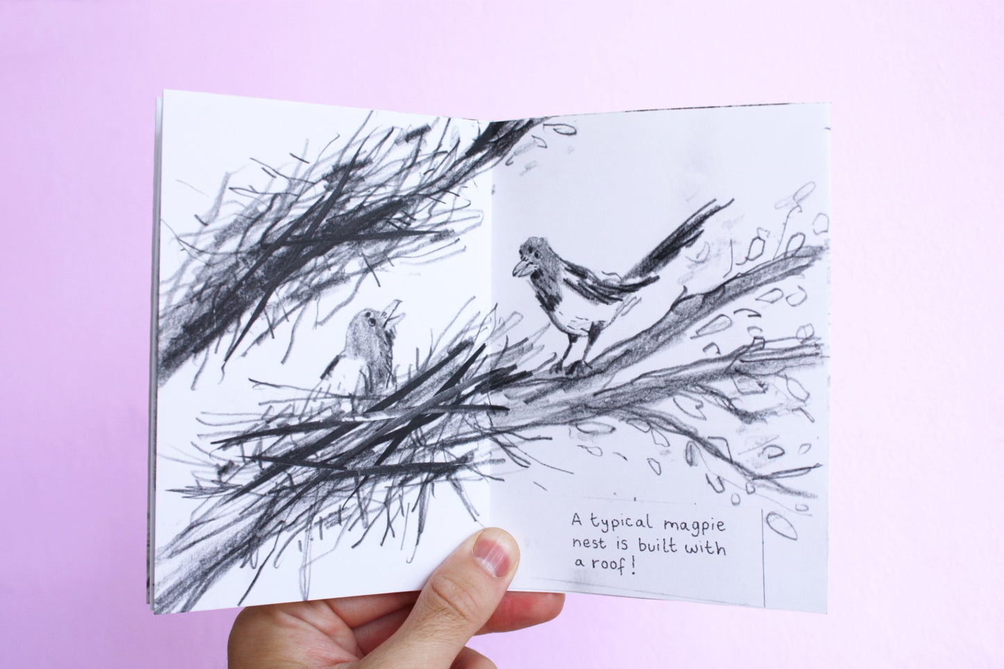 68de2f7800ddcb1087155c2d_magpie-zine3_1760368615475.jpg