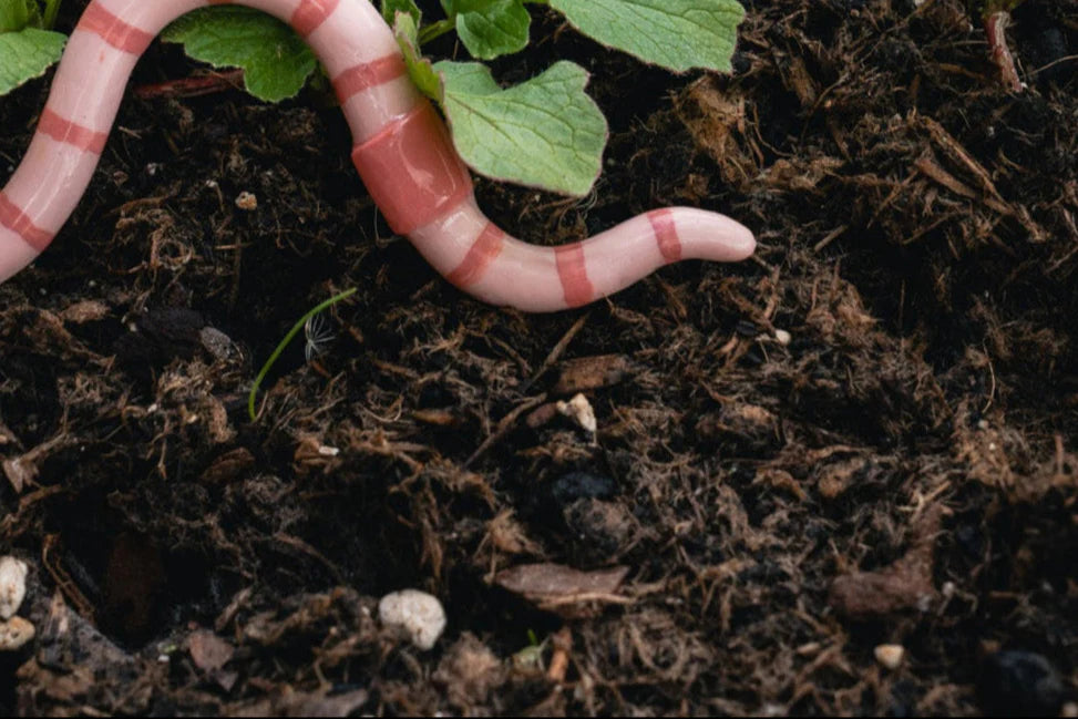 Polymer Clay Worm Magnet