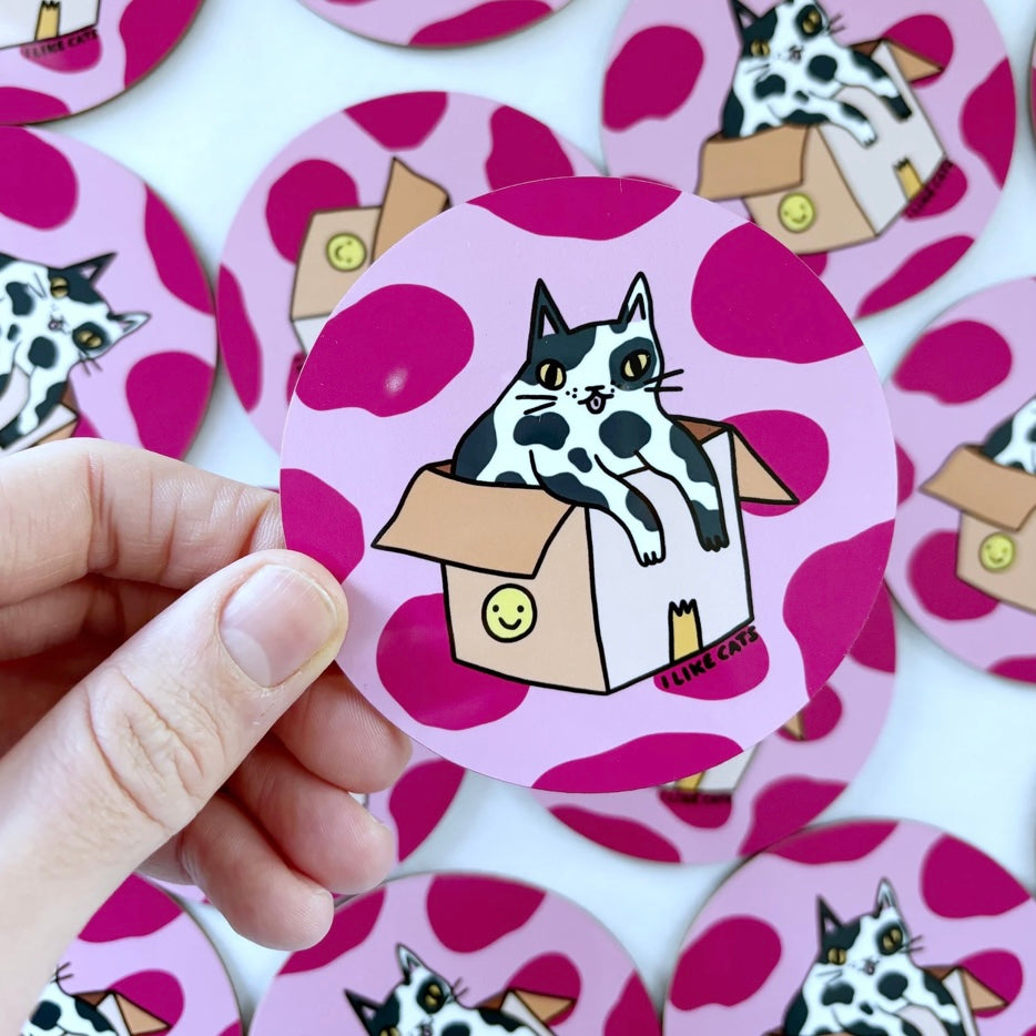Cat Box Coaster