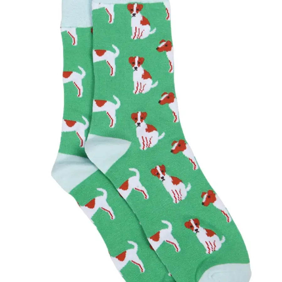 Jack Russell Dog Socks