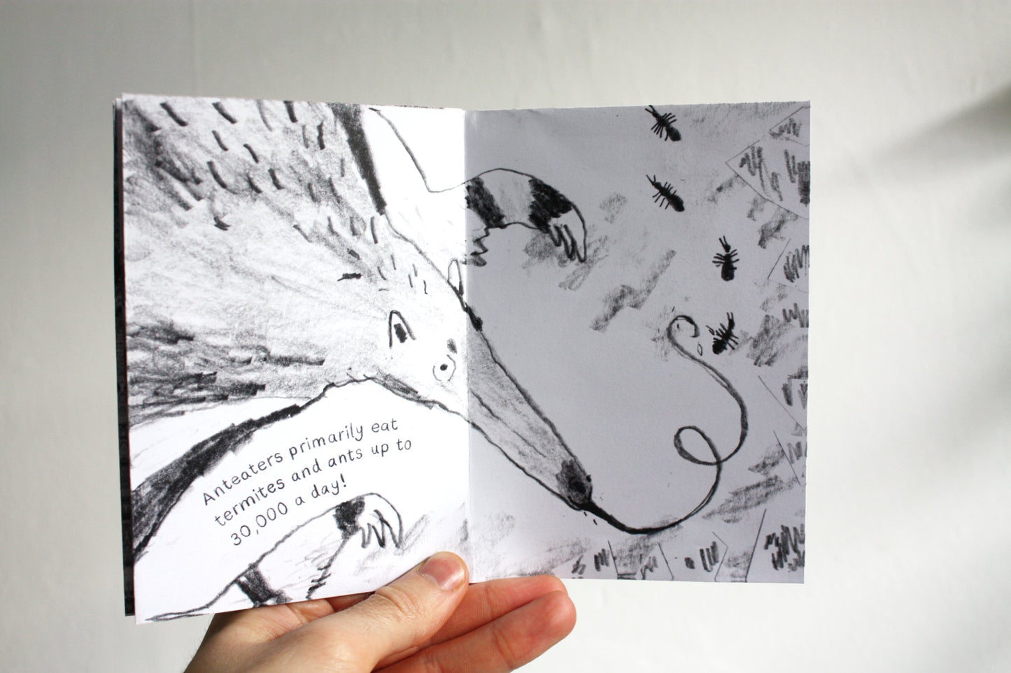 68de2f7800ddcb1087155c2d_anteaterzine-etsy2_1760368091185.jpg