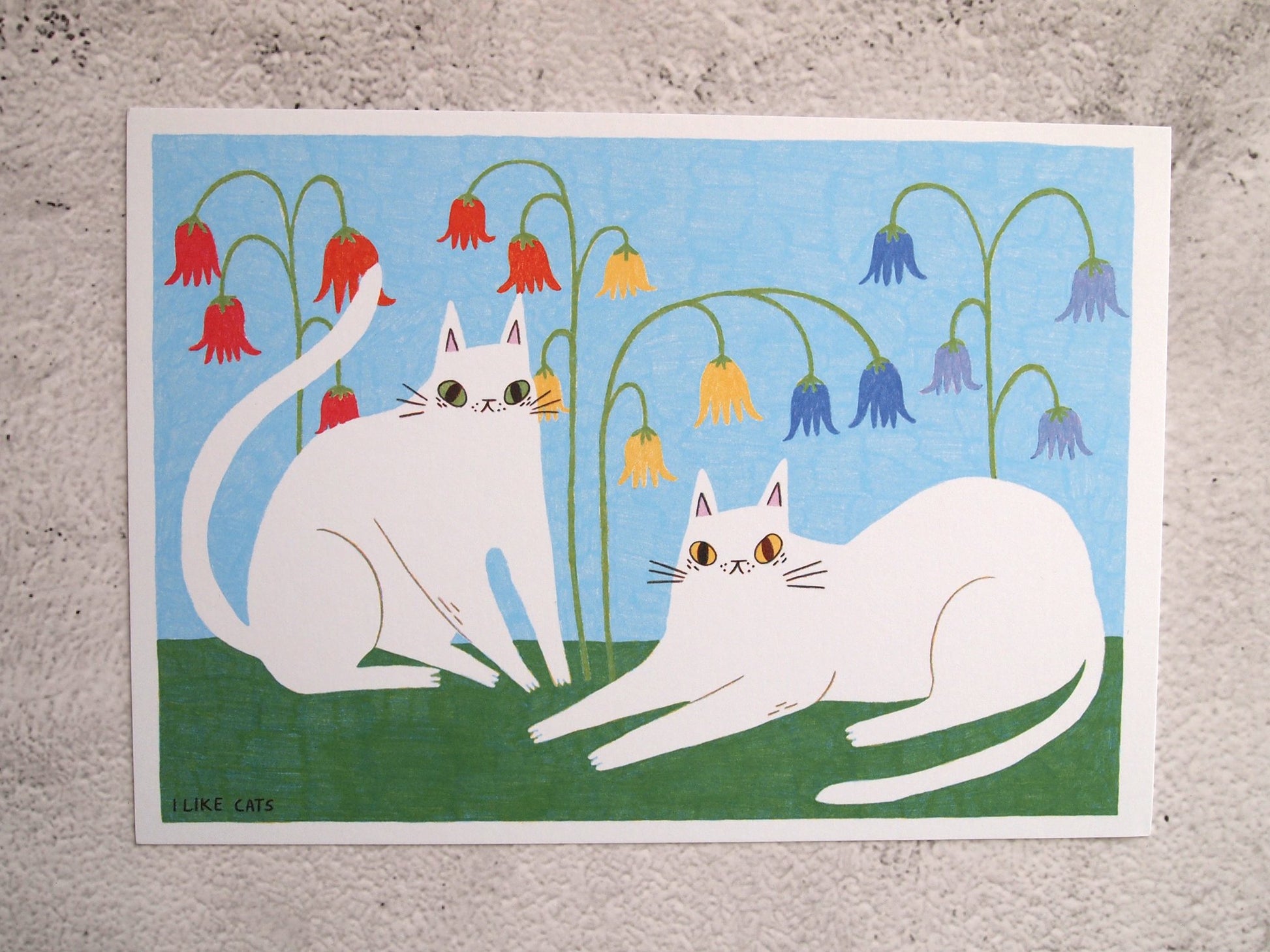 68de2f7800ddcb1087155c2d_print-a5bluebell_1765209972188.jpg