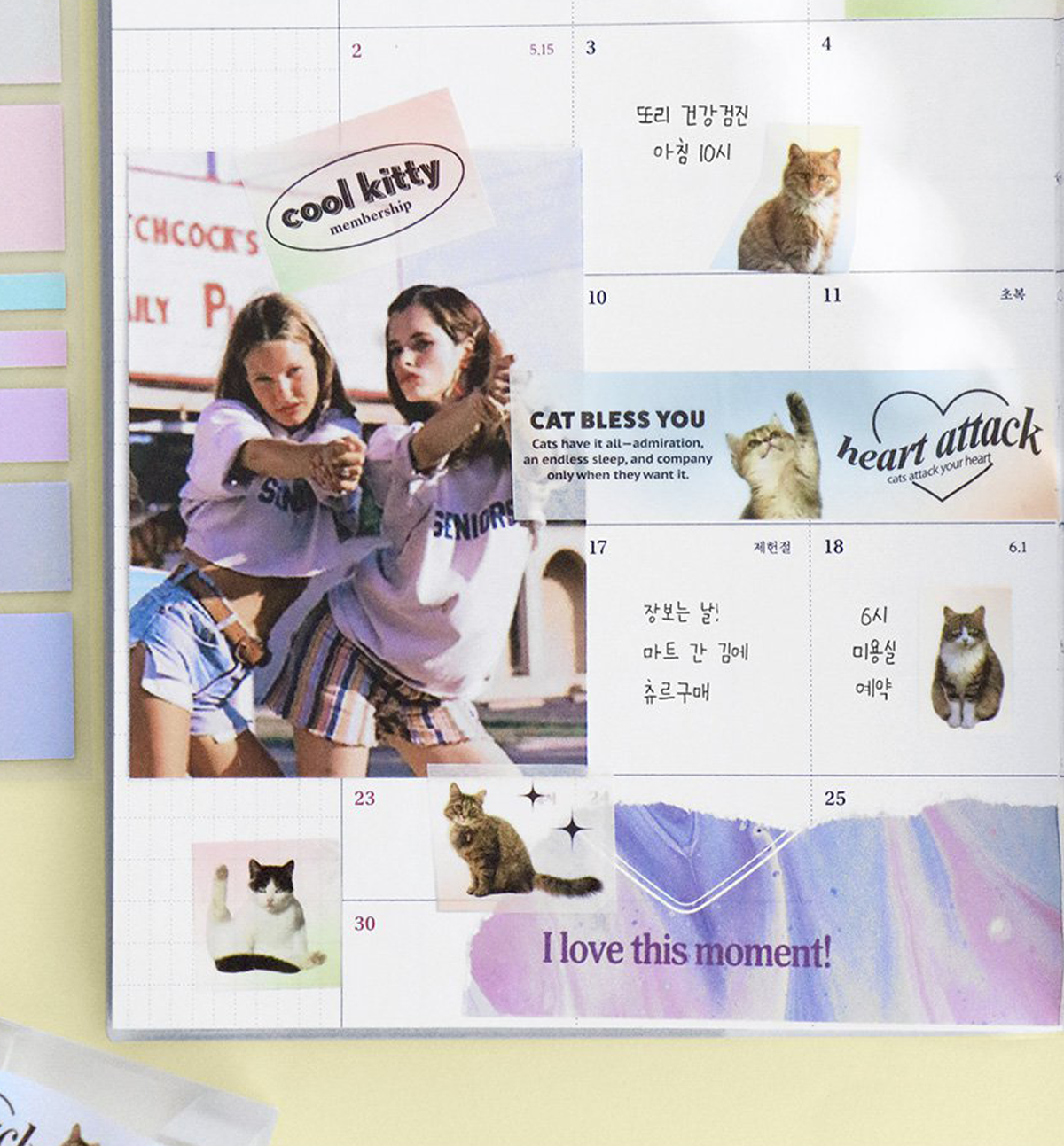 Funny Cat Photo Washi Tape