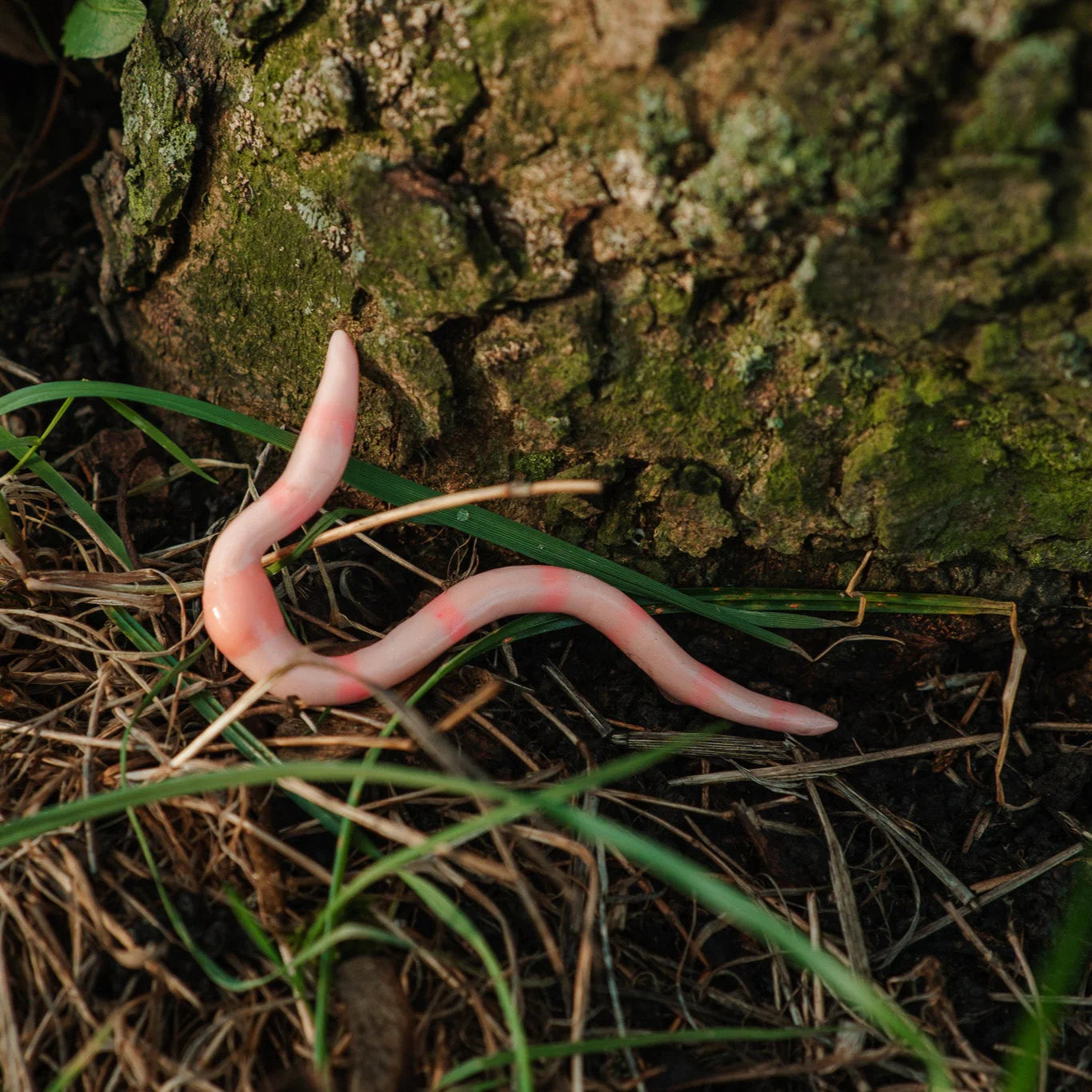 Polymer Clay Worm Magnet
