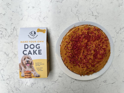 Make Your Own Dog Birthday Cake Kit