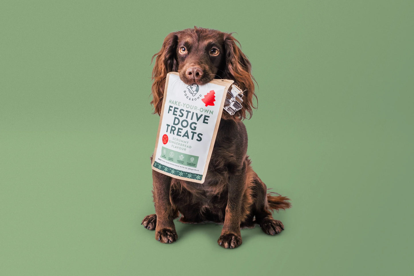 Bake-Your-Own Christmas Dog Treats: Scrummy Gingerbread Flavour