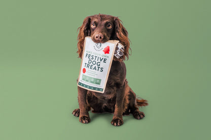 Bake-Your-Own Christmas Dog Treats: Scrummy Gingerbread Flavour