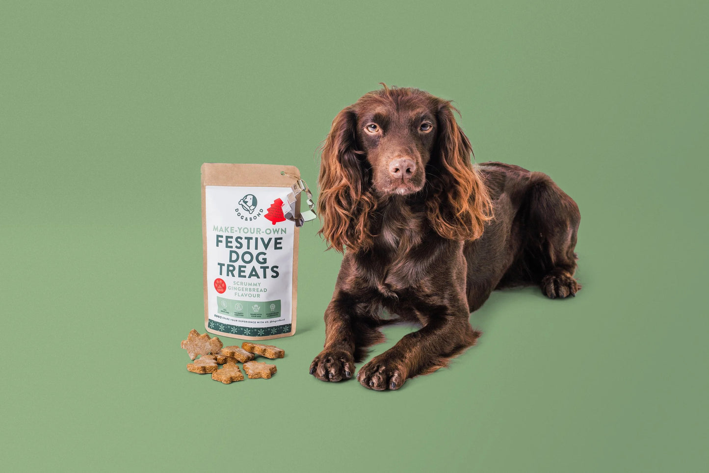 Bake-Your-Own Christmas Dog Treats: Scrummy Gingerbread Flavour