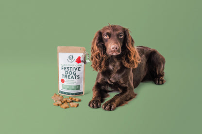 Bake-Your-Own Christmas Dog Treats: Scrummy Gingerbread Flavour