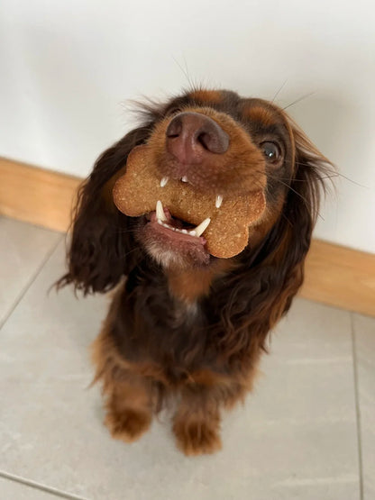 Make-Your-Own Dog Treats: Tasty Cheese & Super Seaweed Biscuits with Cookie Cutter!