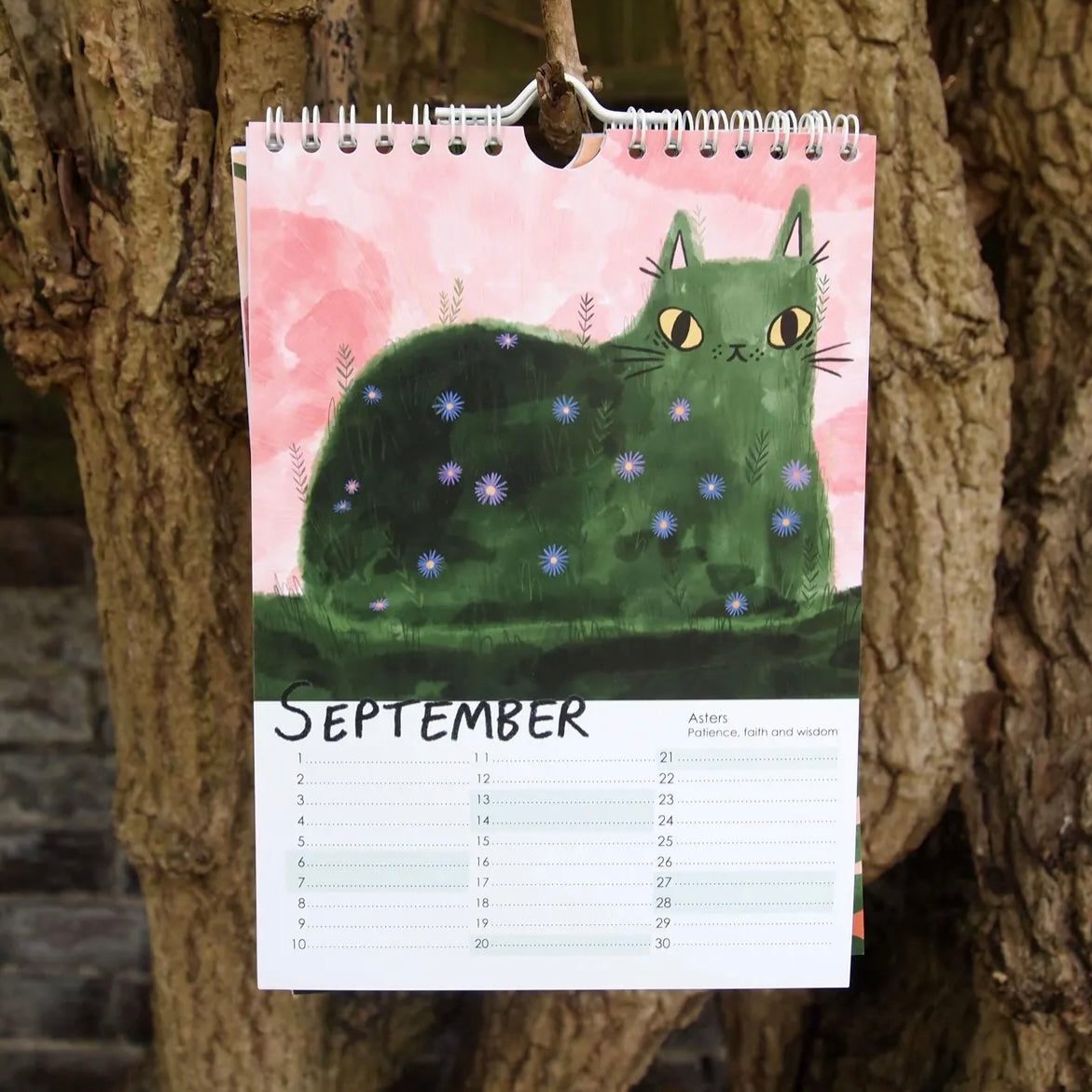 Cat Wall Calendar