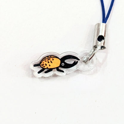 tiny beetle acrylic charm