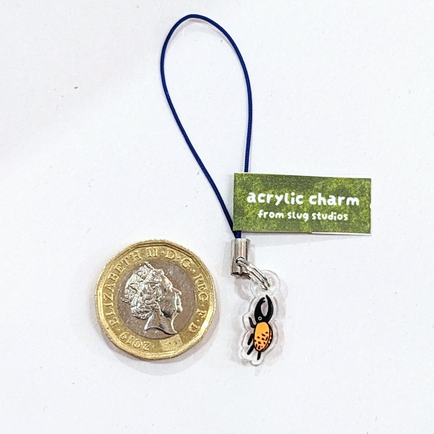 tiny beetle acrylic charm