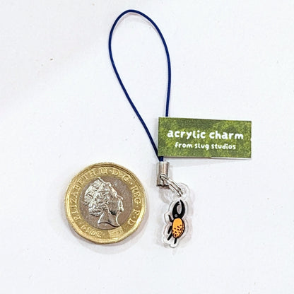 tiny beetle acrylic charm