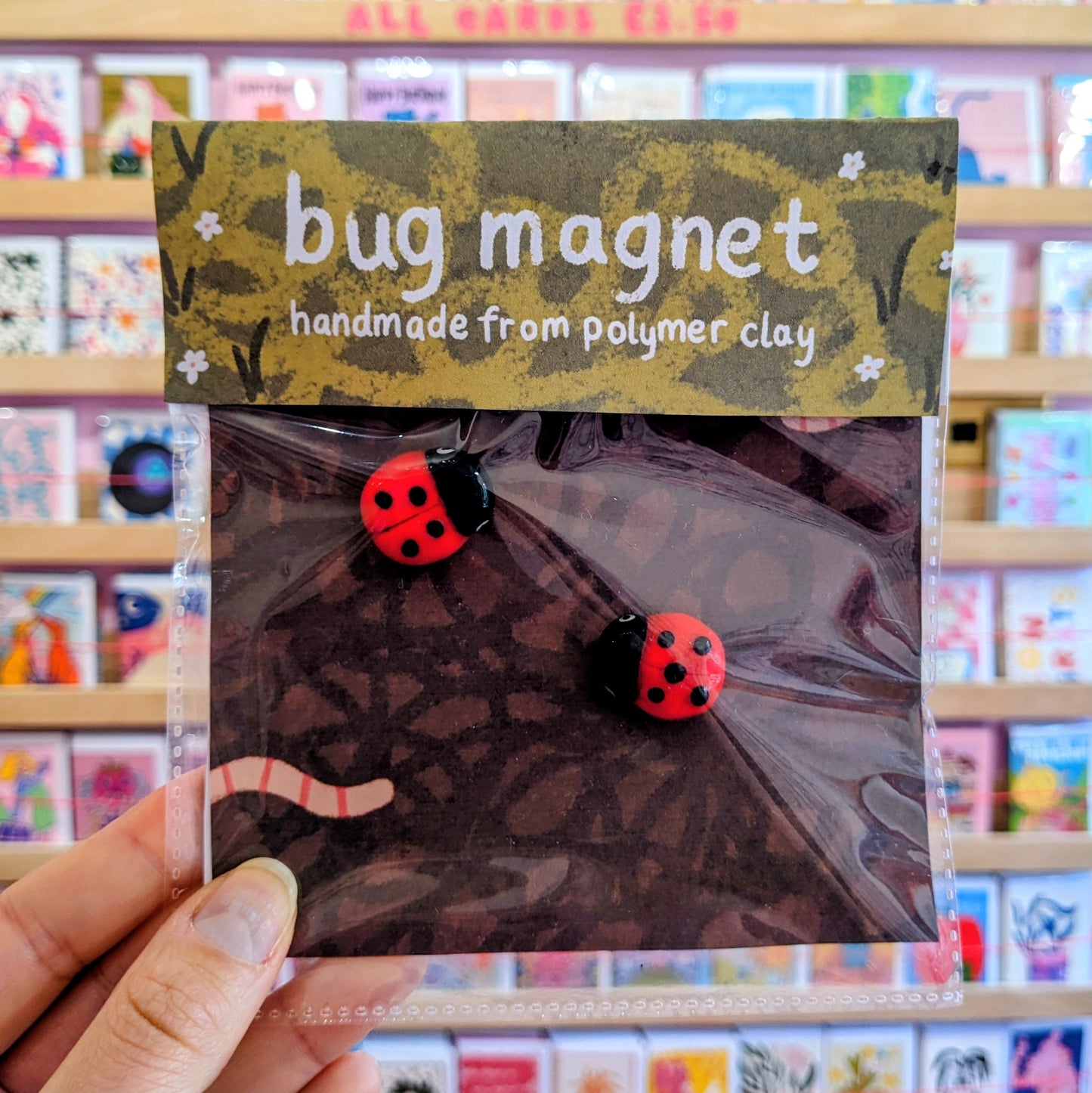 Ladybird Magnets Pair