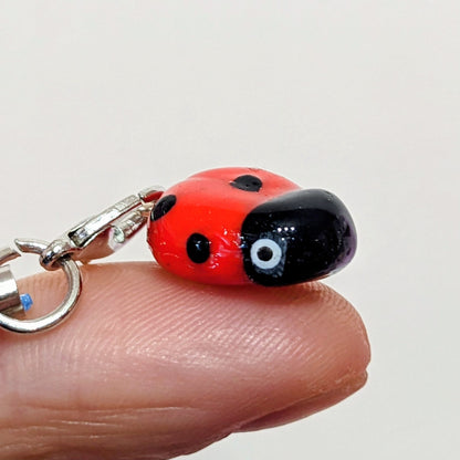 Ladybird Tiny Charm