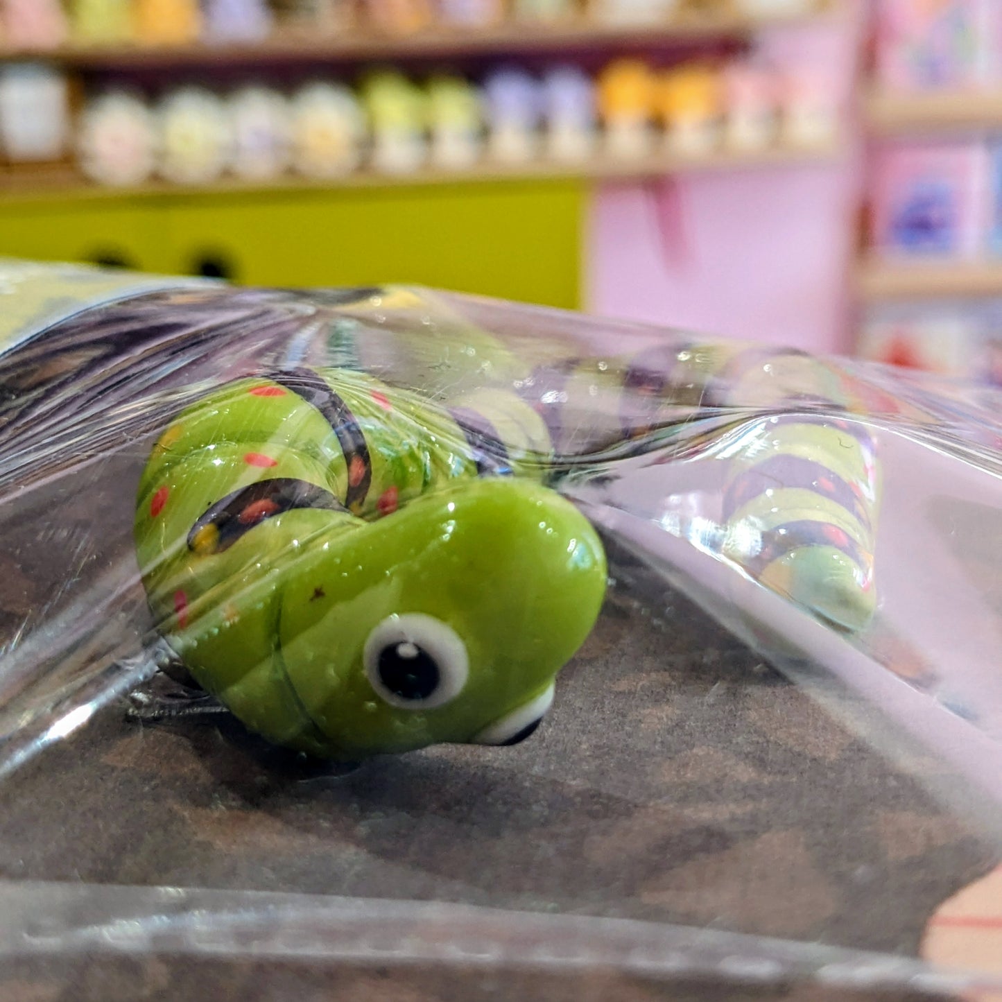 Caterpillar Magnet Pair