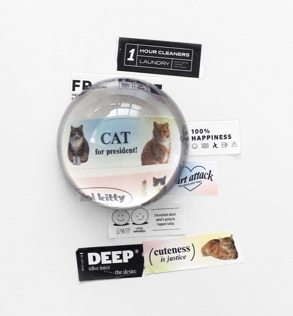 Funny Cat Photo Washi Tape
