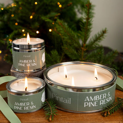 Amber & Pine Resin Classic Tin