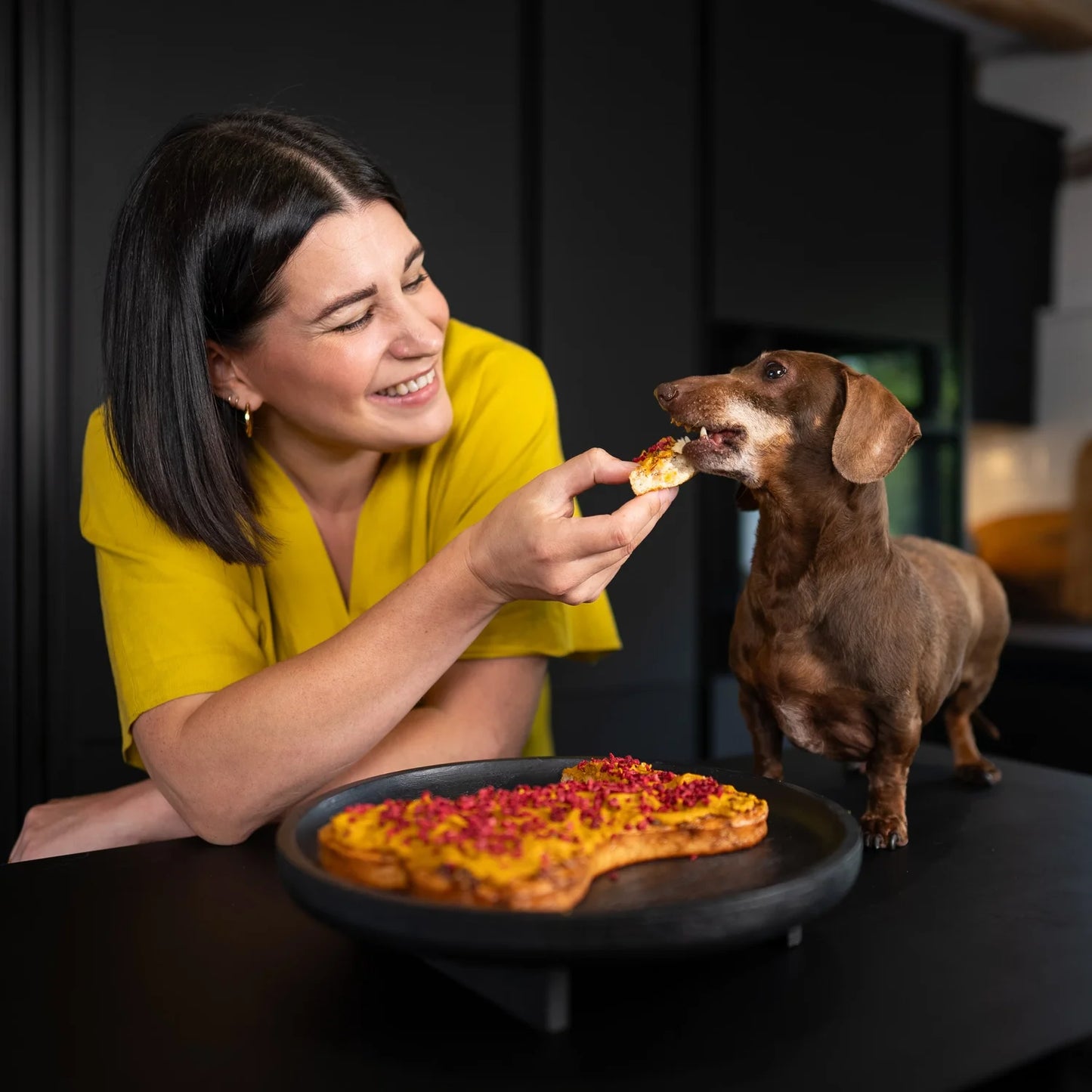 Make Your Own Dog Birthday Cake Kit
