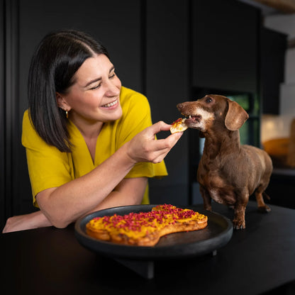 Make Your Own Dog Birthday Cake Kit