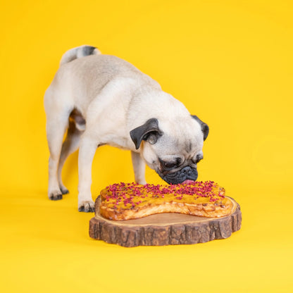 Make Your Own Dog Birthday Cake Kit