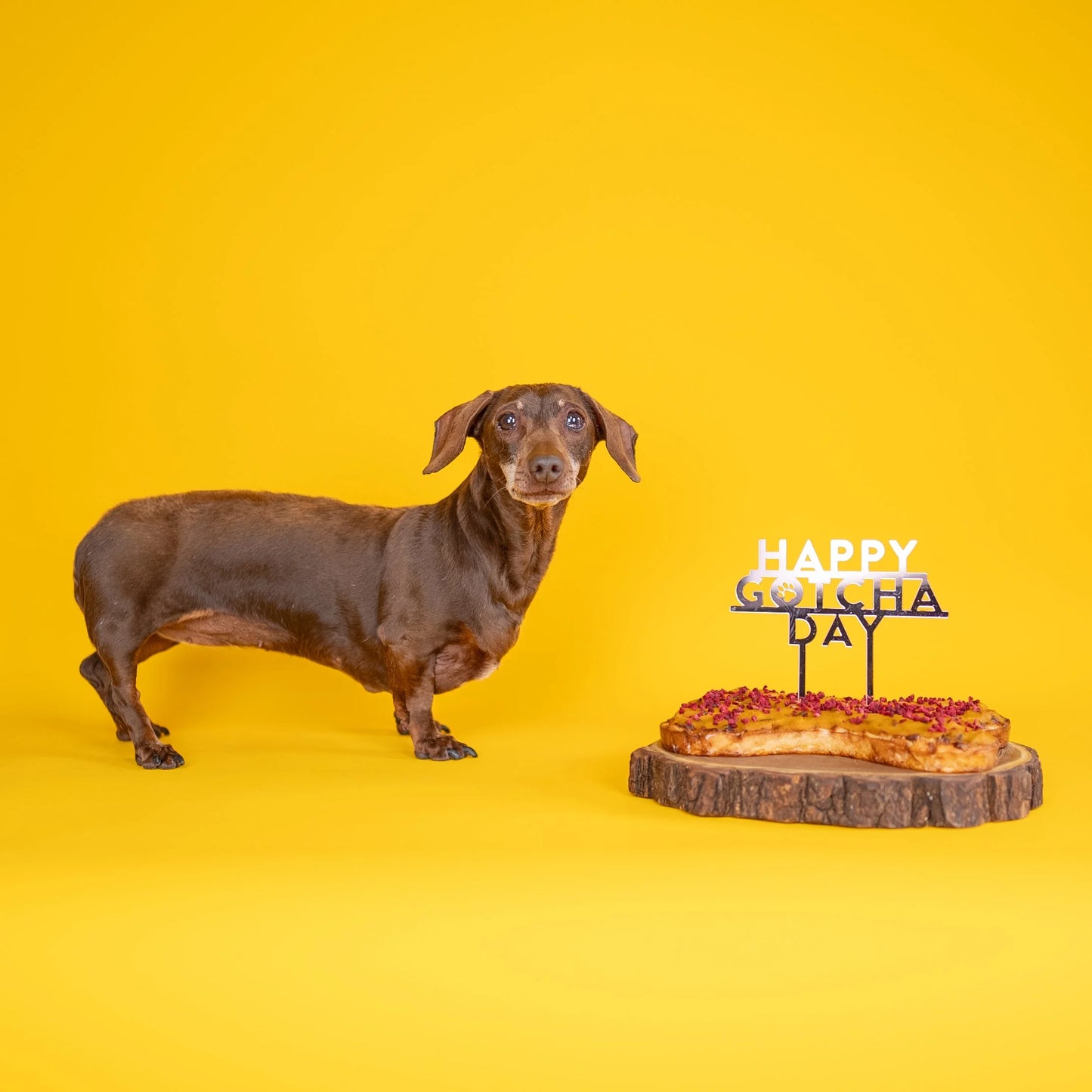 Happy Gotcha Day Dog Birthday Cake Topper - Rose Gold