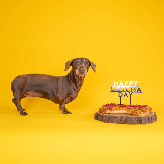 Happy Gotcha Day Dog Birthday Cake Topper - Rose Gold